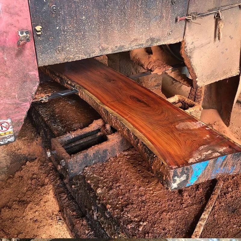 Optimizing Cutting Efficiency: How Sipu Woodworking Bandsaw Blades Reduce Waste in 2026 Timber Processing Optimizing Cutting Efficiency: How Sipu Woodworking Bandsaw Blades Reduce Waste in 2026 Timber Processing